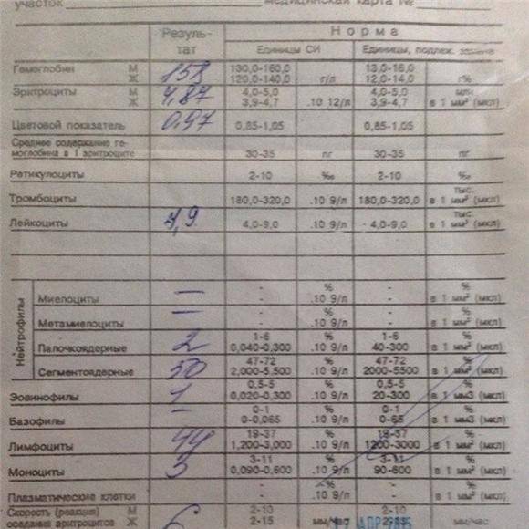 Асло в анализе крови: что это такое, нормы антистрептолизина-о и что он показывает