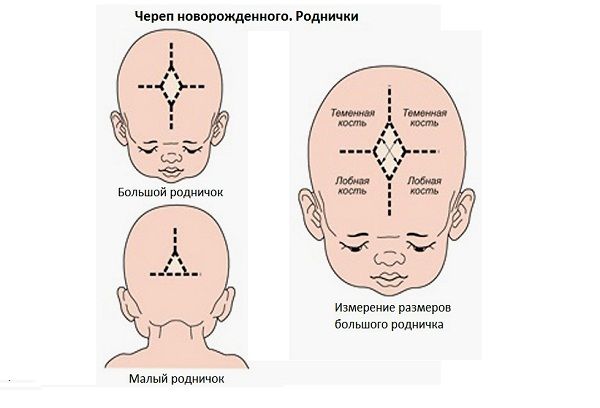 Пульсирует родничок у грудничка - это нормально и стоит ли беспокоиться?