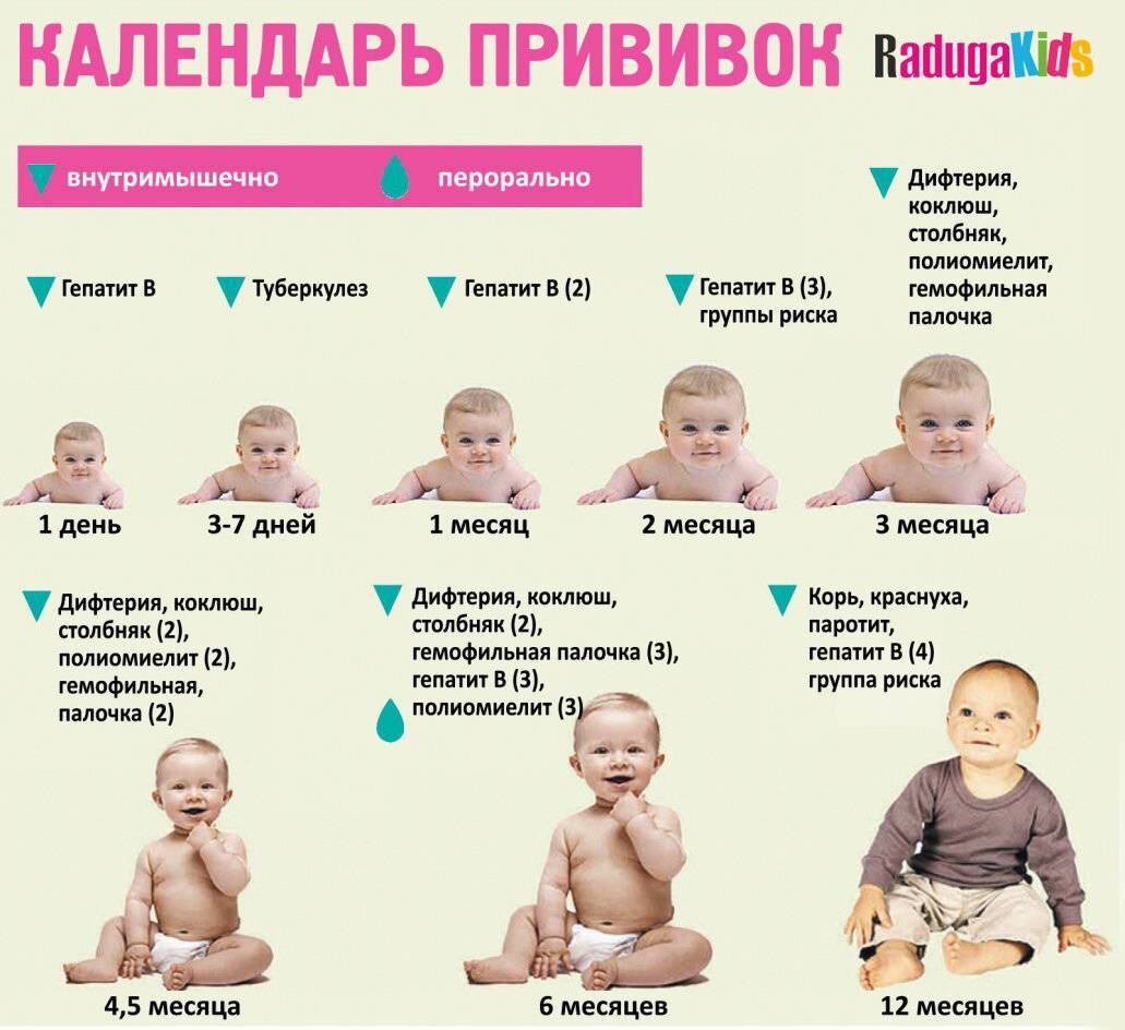 Какие первые обязательные прививки ставят в роддоме ? новорожденным при вакцинации