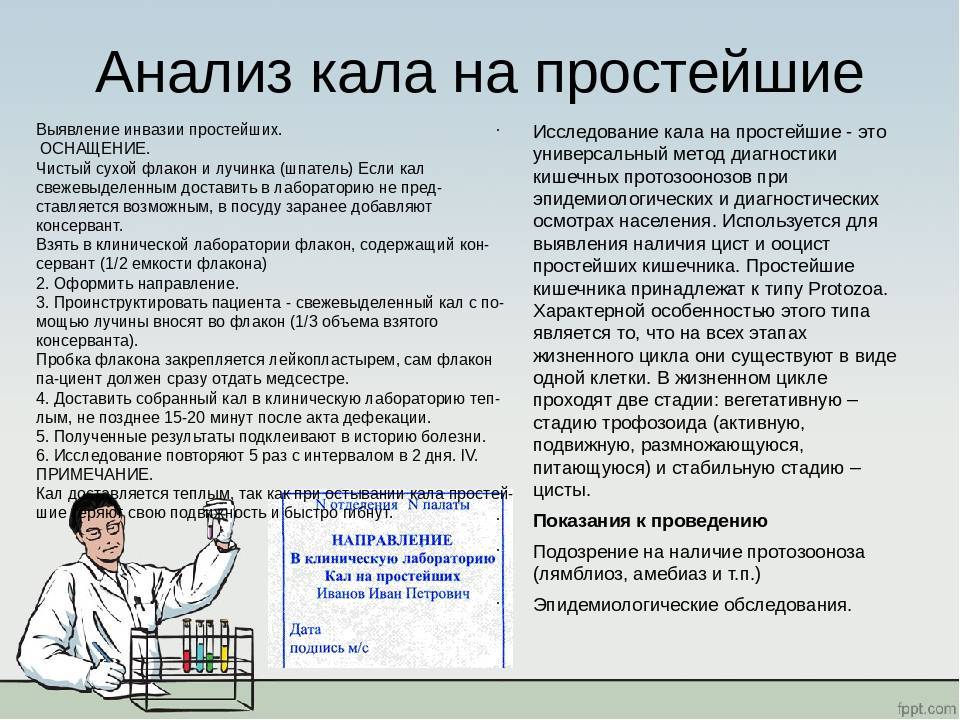 Анализы на яйцеглист у детей. как сдавать и зачем они нужны?