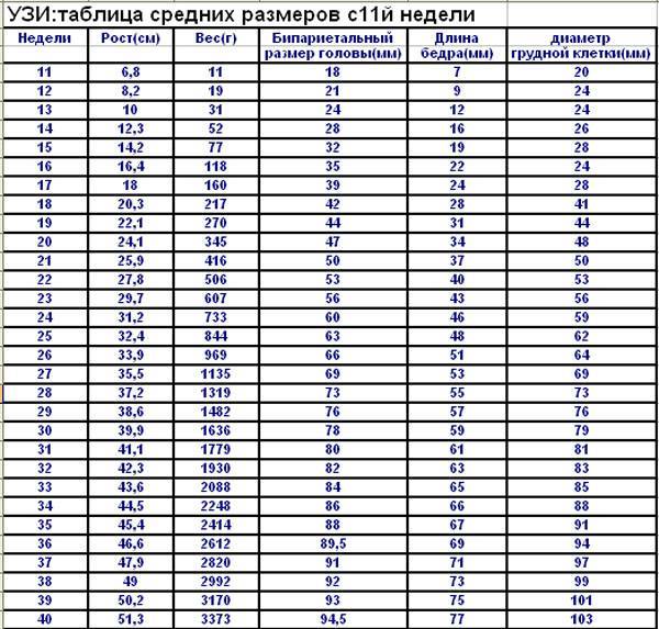 Узи бпр: показатели меньше нормы