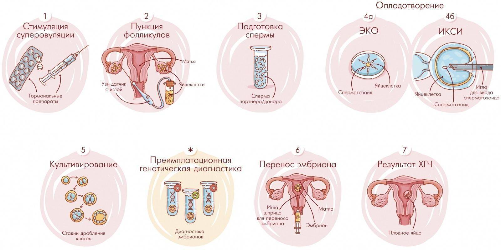 Перенос эмбрионов при эко: подготовка к процедуре, как происходит подсадка эмбриона в матку | статьи от центра репродуктивного здоровья «см-клиника»
