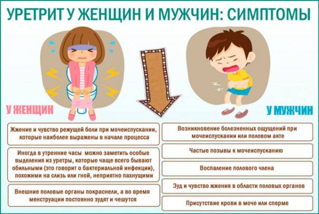 Ребенку больно писать, что делать? советы врача
