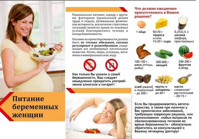 Креветки для беременных польза и вред - izitip.ru
