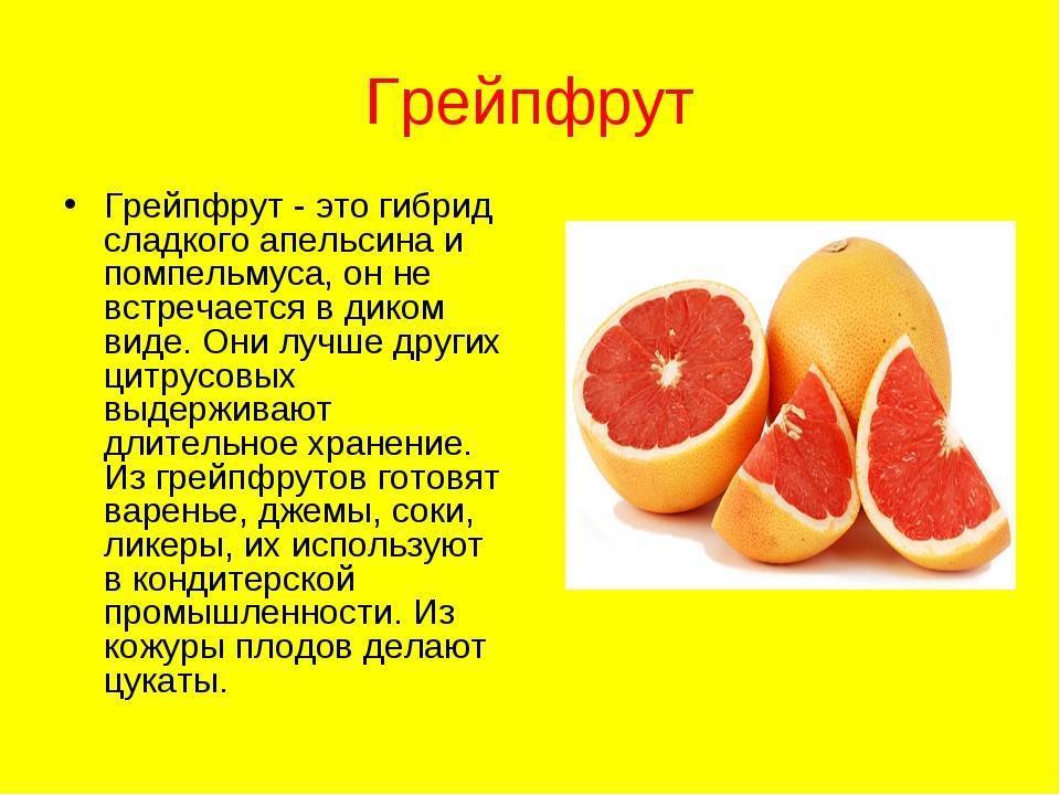 Грейпфрут при наступившей беременности: польза и вред грейпфрутового сока на ранних сроках, во 2 и 3 триместрах