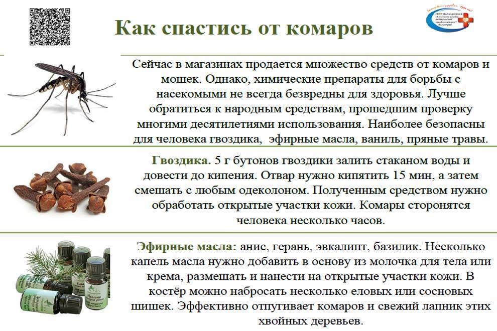 Народные средства для детей, которыми можно обработать места укусов комаров в домашних условиях