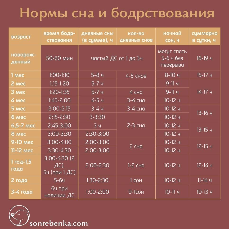 Сон ребенка в 11 месяцев