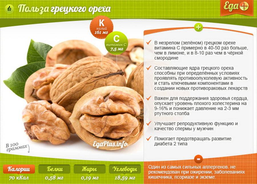 10 фактов о пользе и вреде грецкого ореха для здоровья
