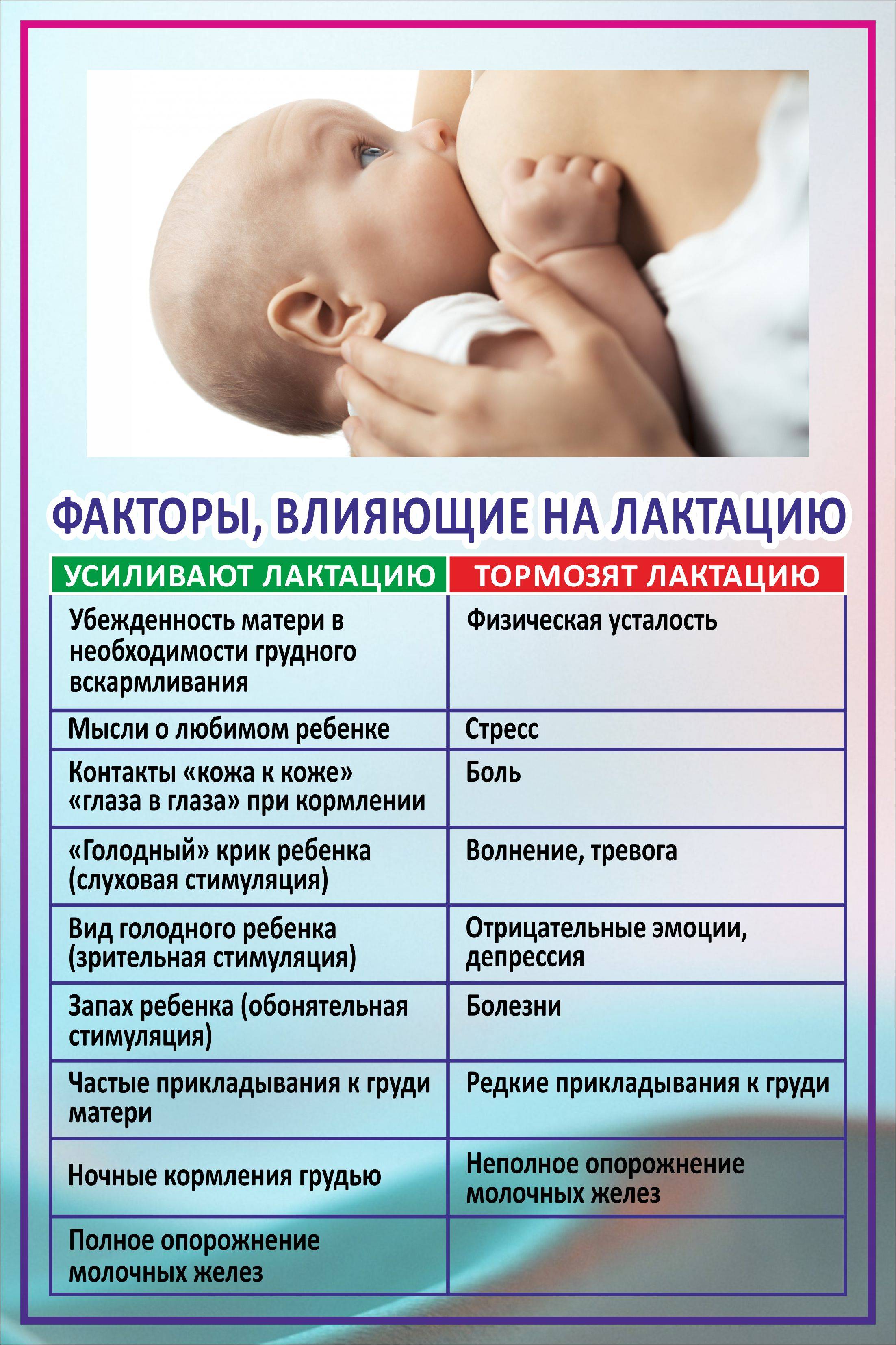 Как увеличить лактацию грудного молока в домашних условиях?