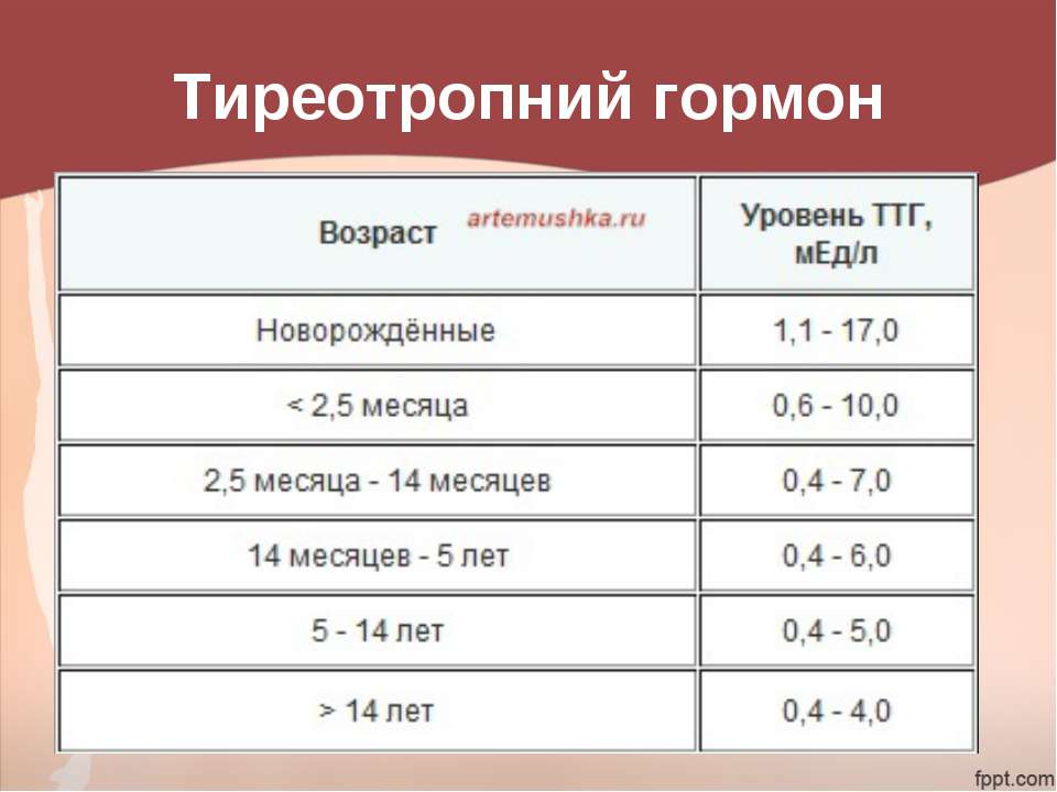 Почему важен уровень гормона ттг: норма, повышен или понижен - статьи lab4u.ru