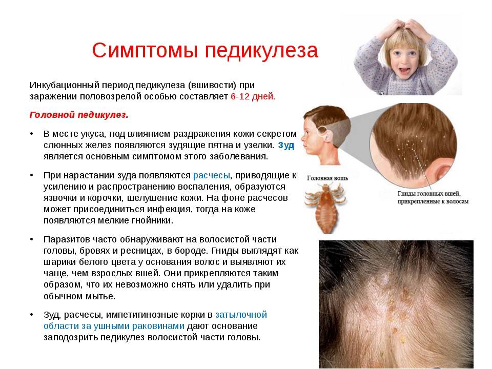 Ребенок чешет уши часто: как определить причину и помочь малышу?