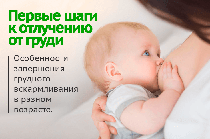 👶ответ эксперта: как отучить ребенка от грудного вскармливания? 👪 если решение отучать от груди исходит от матери, что необходимо предложить малышу?