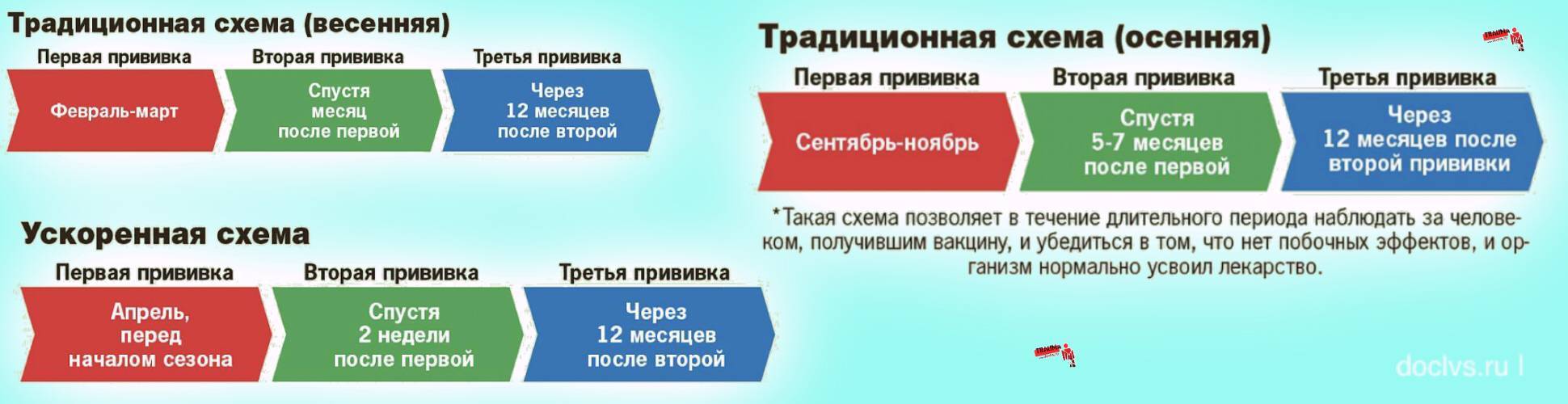 Прививка от клещевого энцефалита: схема вакцинации, где и когда ставить