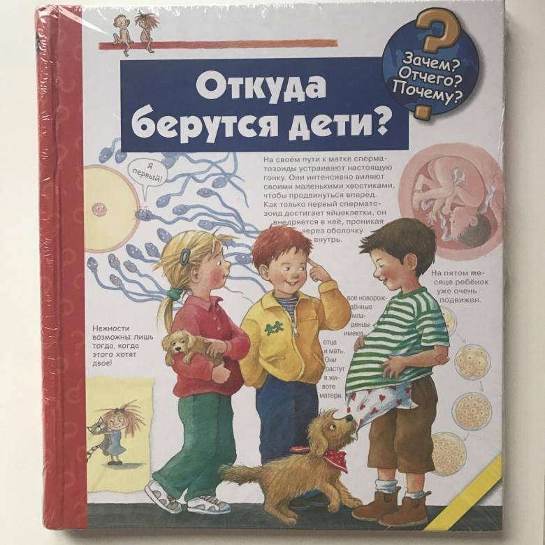 Развивающие книги для детей 2-3 лет: список лучших