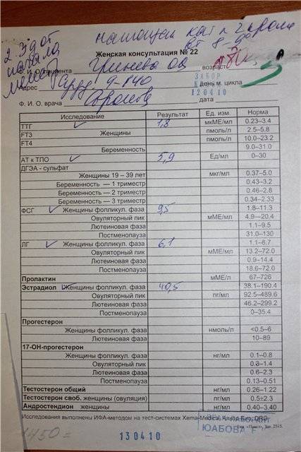 Какие анализы нужно сдать после замершей беременности: список для мужчин и женщин