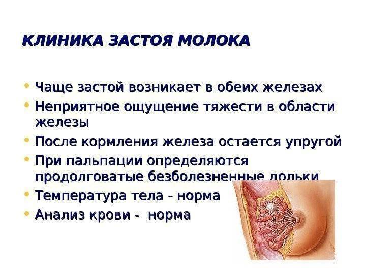 Уплотнение в молочной железе при грудном вскармливании у кормящей мамы