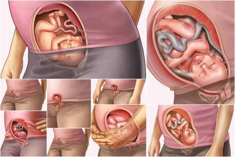 Когда появляются первые симптомы беременности: на каком сроке следует ожидать изменения