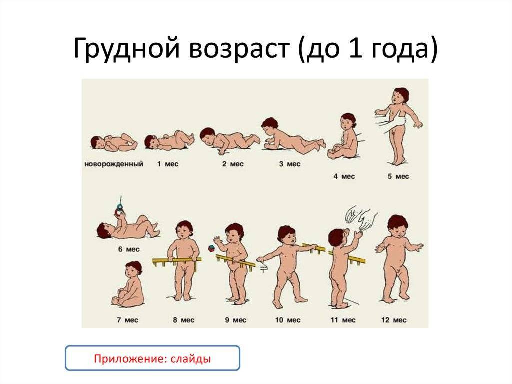 Развитие крохи в 2-3 месяца жизни по неделям: нормы развития