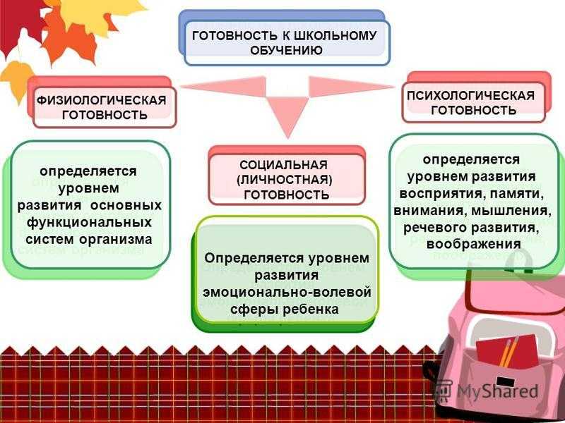 Виды готовности к школе: характеристика и критерии. как определить, готов ли ребенок к школе или пока нет