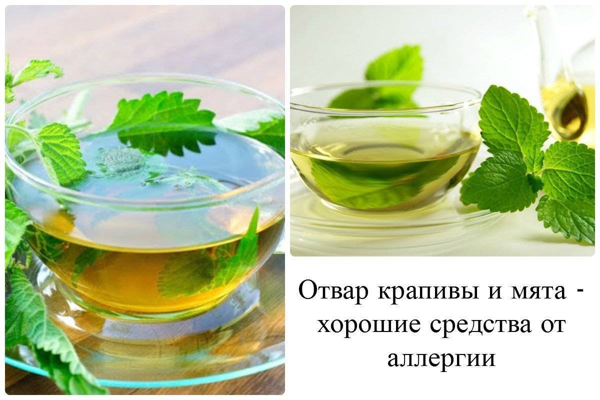 Лавровый лист от аллергии у детей – отвар, купание и другие методы в том числе для новорожденных