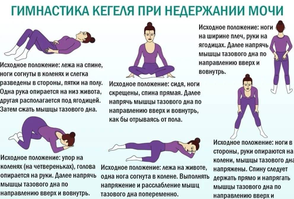 Упражнения кегеля для беременных (подготовка к родам): 1,2,3 семестр