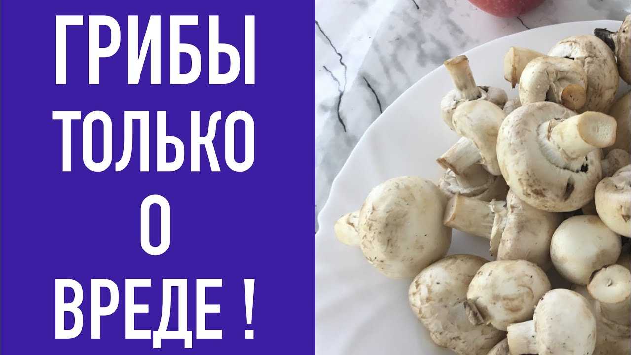 Можно ли употреблять грибы при грудном вскармливании и какие?