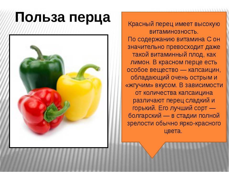 С какого возраста можно давать болгарский перец ребенку - когда этот продукт разрешен?