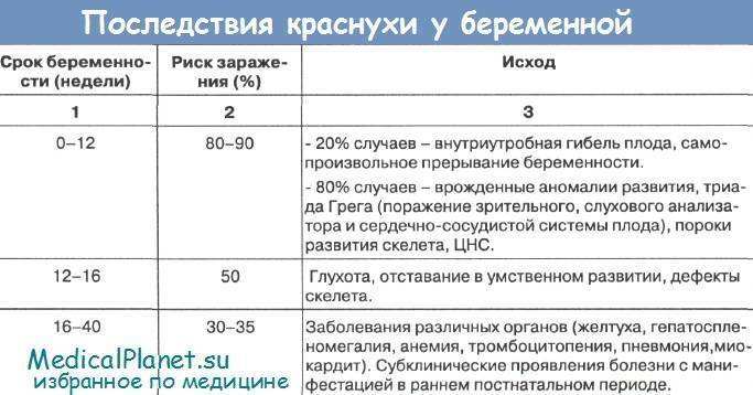 Разбираемся в результатах анализов на краснуху: что они означают?