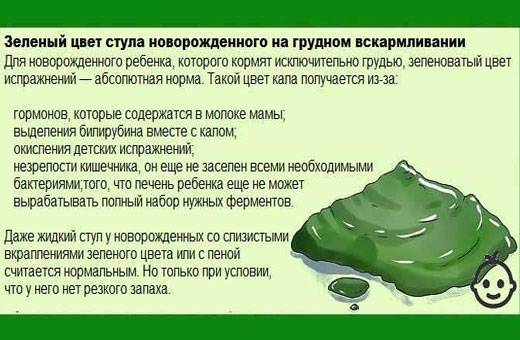 Зеленый стул у грудничка на грудном вскармливании | уроки для мам