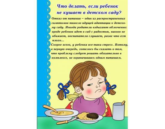 Ребенок не ест в садике: почему малыш ничего не кушает, как уговорить и что делать, если отказывается от приема пищи в детском учреждении?