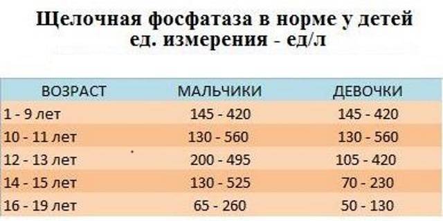 Фосфатаза щёлочная: показания, нормы, причины изменений