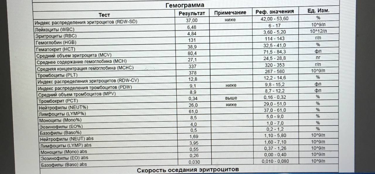Ширина распределения эритроцитов: норма, повышена, понижена
