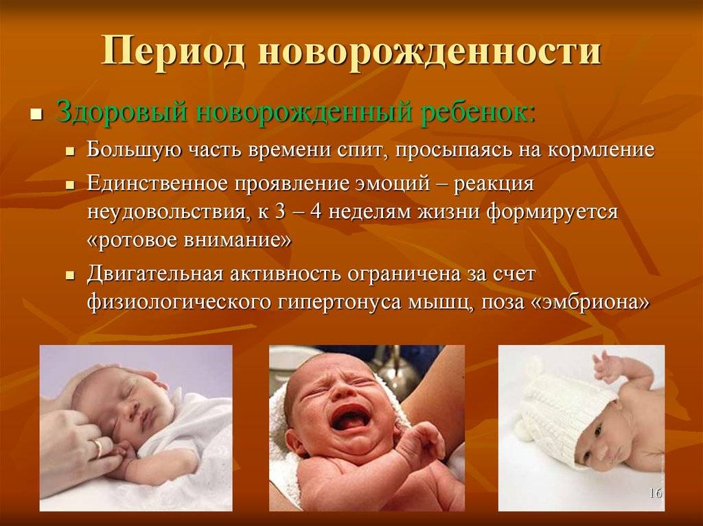 Что должен уметь ребенок в 1 месяц: развитие новорожденного в первый месяц жизни