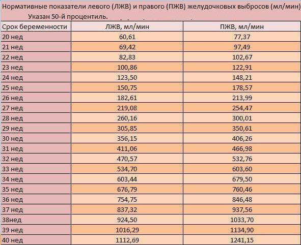 Особенности допплерометрии при беременности, расшифровка результатов и нормы, кровоток в маточной артерии и пуповине