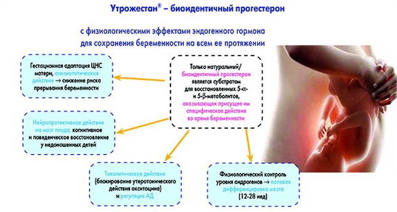 Утрожестан при короткой шейке матки - обуз «курская городская поликлиника №7»