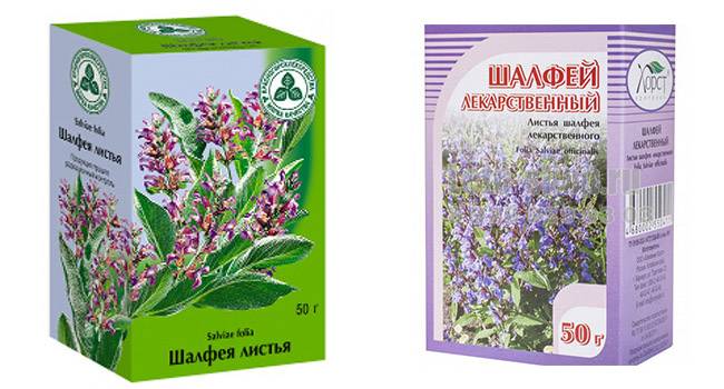 Шалфей для зачатия: как заваривать и принимать, отзывы и рекомендации