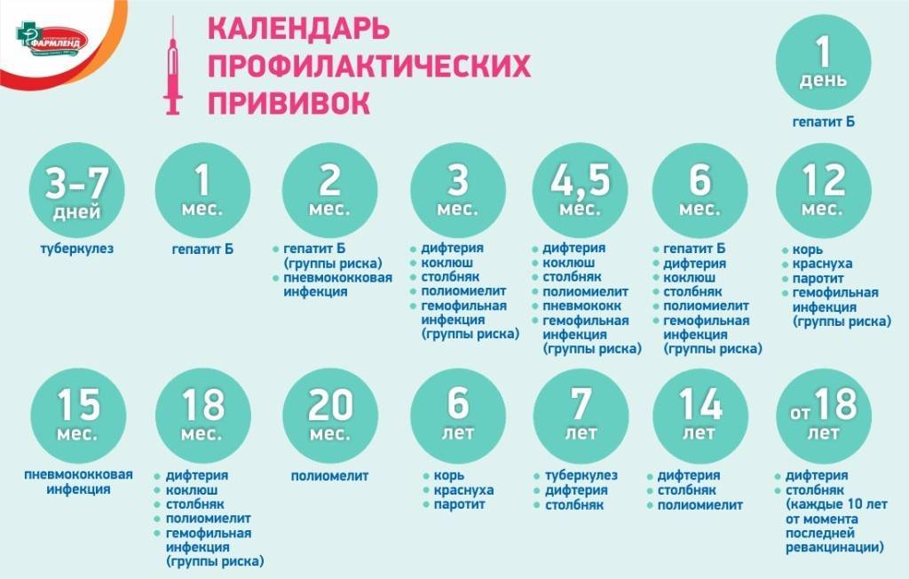 Вакцина против полиомиелита: сколько и когда нужно делать прививки?