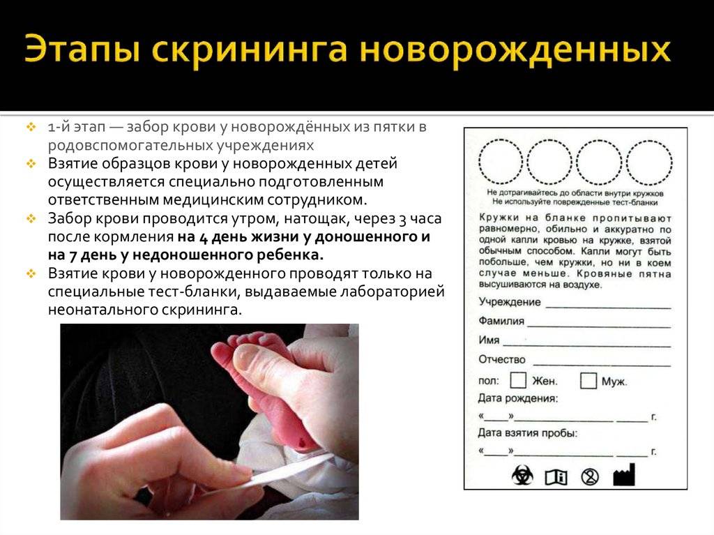 Скрининг новорожденных: зачем берут кровь из пятки в роддоме, и как проводится процедура