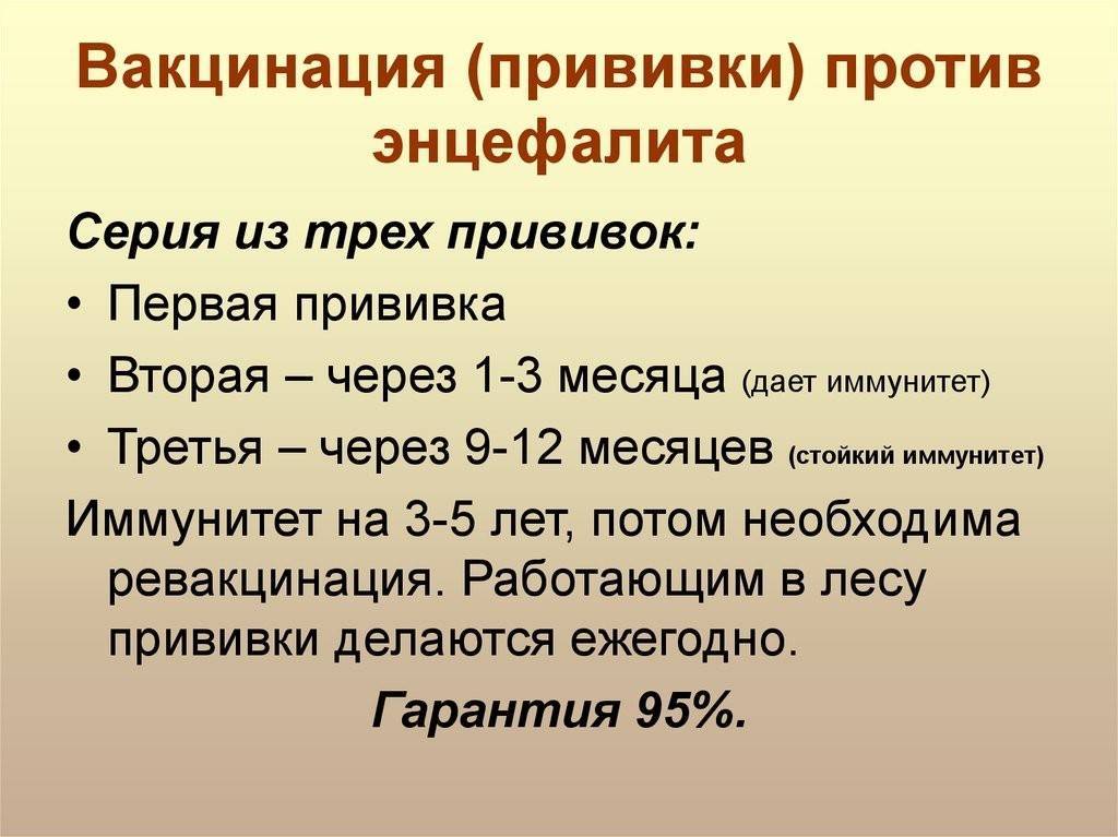Вакцина от клещевого энцефалита: когда ставить прививку, схема вакцинации