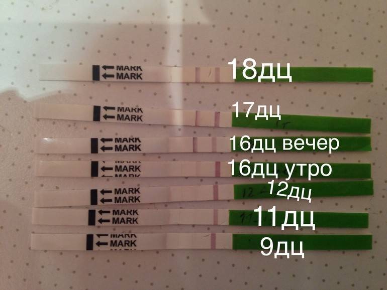 Ранние признаки беременности