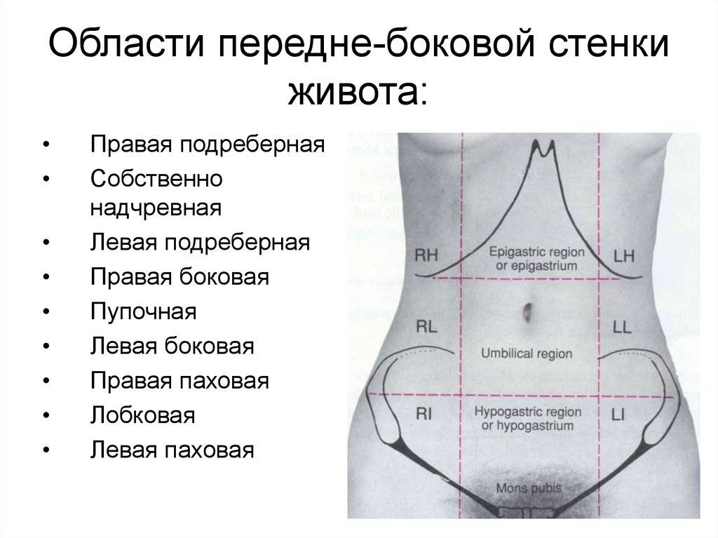19 причин тазовых болей у женщин