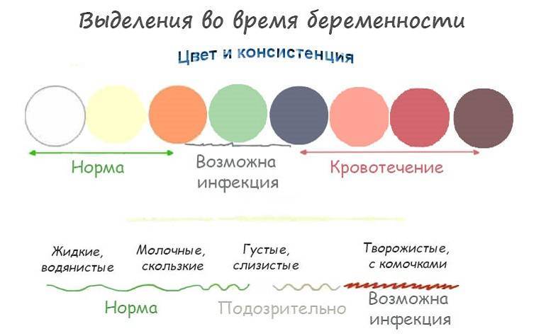 Выделения во втором триместре беременности | уроки для мам
