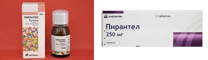 Острицы: симптомы, лечение, методы избавления для детей и взрослых