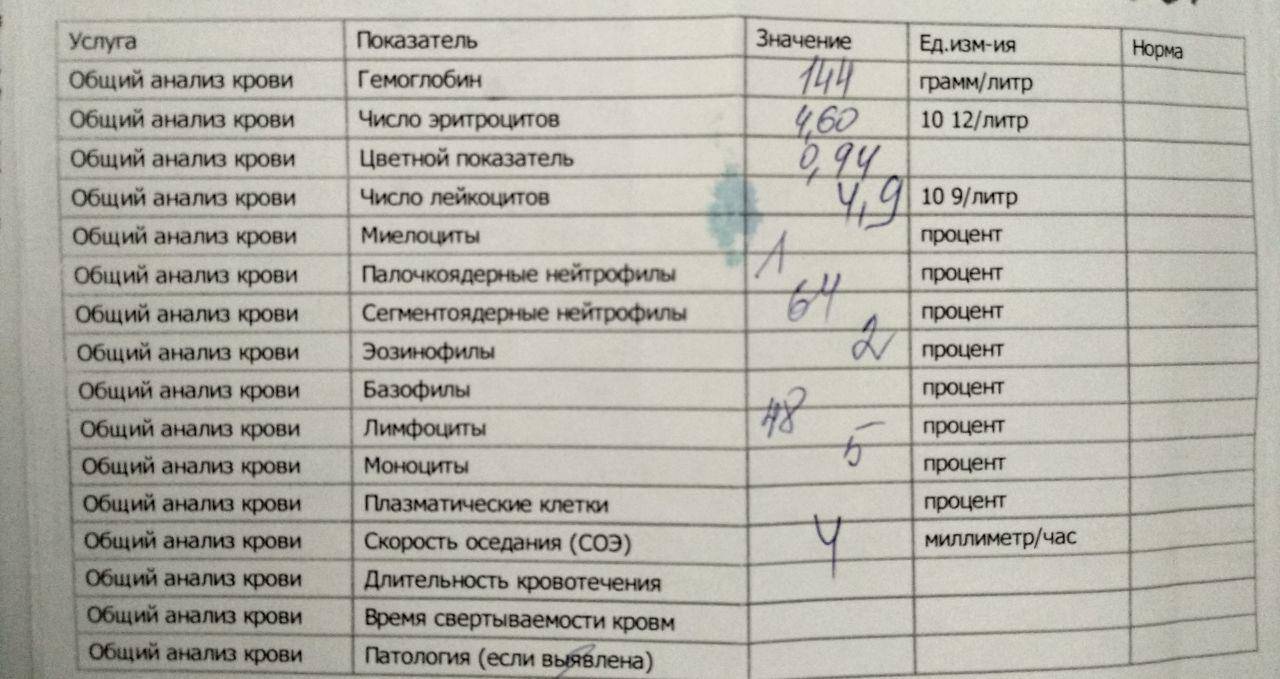 Почему могли появиться плазматические клетки в общем анализе крови и что они означают