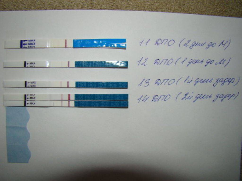 2 теста отрицательные 1 положительный. Тест-полоски на беременность на ранних сроках. Положительный тест на беременность. Тест на беременность положи. Положительный тест на берем.