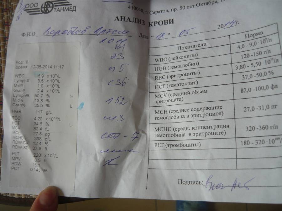 Норма атипичных мононуклеаров в крови у ребенка, причины повышения показателя