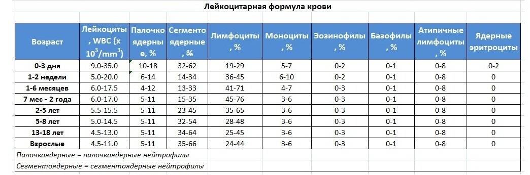 Норма лейкоцитов в крови у детей: таблица по возрасту у новорожденных и старше