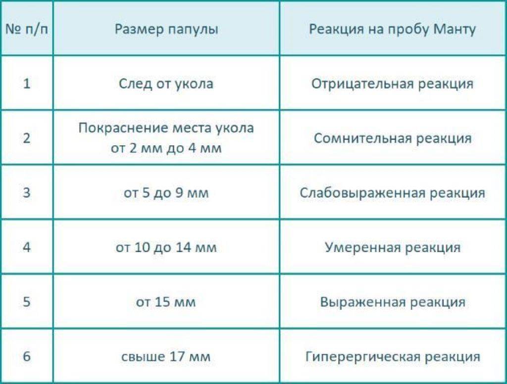 Реакция манту у детей: норма размеров по возрасту в 1-3 года с фото