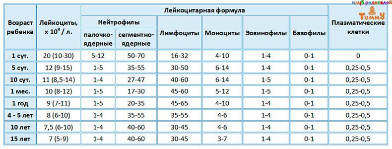 Лейкоциты в моче у грудничка: норма, причины повышения
