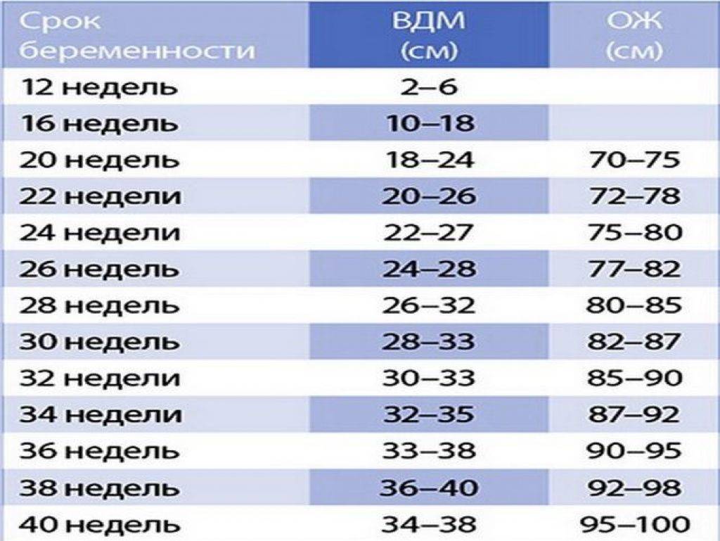 Окружность живота по неделям беременности: норма и размер, таблица ож и рост, обхват и объем плода, от чего зависит | rucheyok.ru